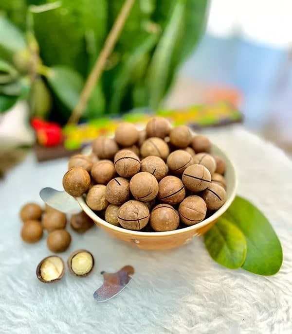 تصویر 3 از خرید فندق افریقایی + قیمت فروش استثنایی